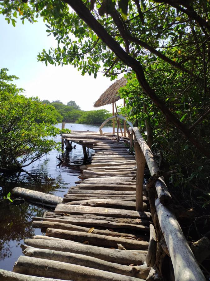 فندق Sol Y Mar Puerto Limon المظهر الخارجي الصورة